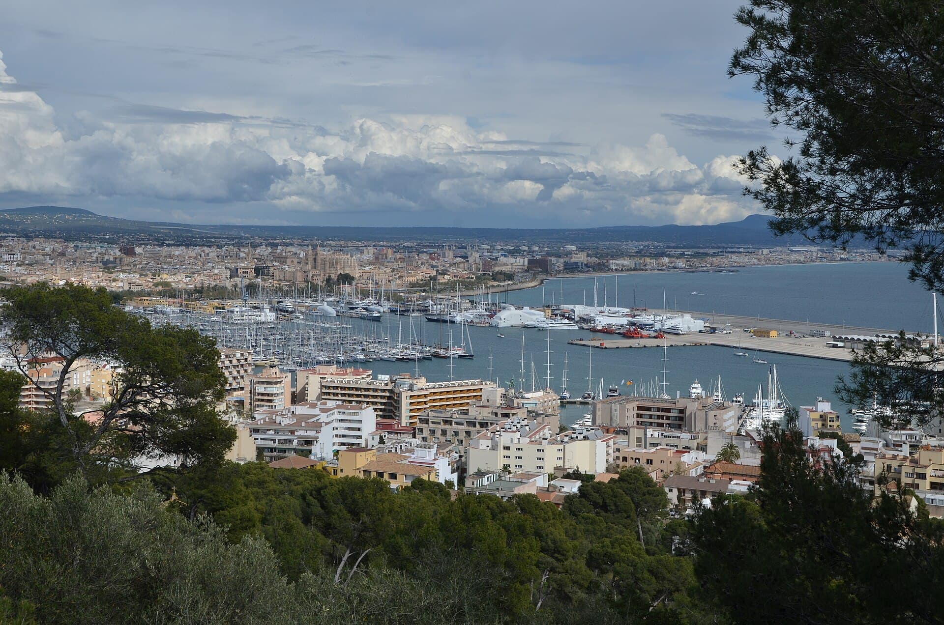 Hafen von Palma